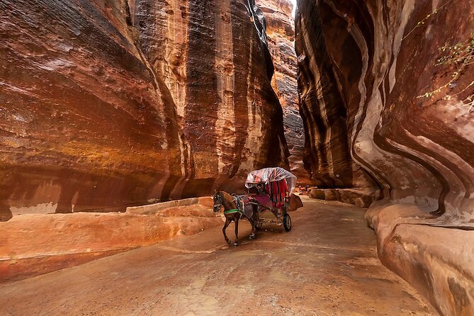 1 Day Tour to Petra From Eilat - The Treasury, Theater, and carved stone