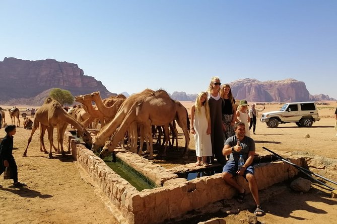 2 Days Wadi Rum and Petra Tour from Wadi Arava Border - Two Jordan icons in two very different days