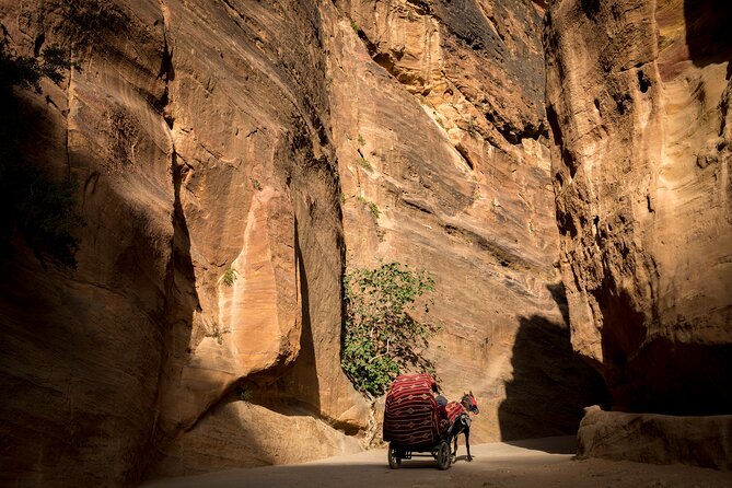 3-Day Petra and Wadi Rum Tour from Jerusalem - Sleeping in a Bedouin-style camp