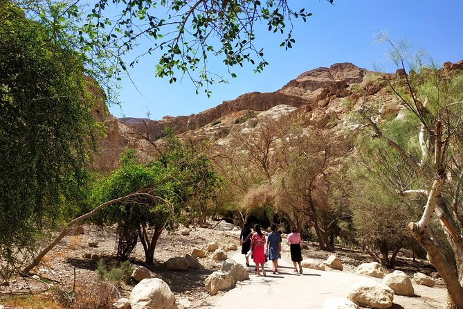 4WD Masada Ein Gedi Judea desert Dead Sea adventure 4x4 Tour. - Ein Gedi oasis and its short water walk