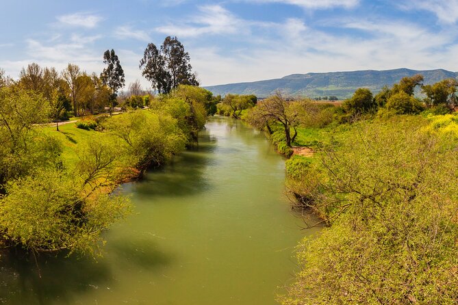 Biblical Highlights of the Galilee Tour From Tel Aviv - Capernaum and the synagogue ruins