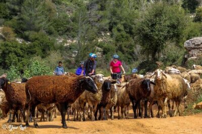 Bike the Holy Land with Yoav Lavi, Bike Guide for all levels and a Photographer