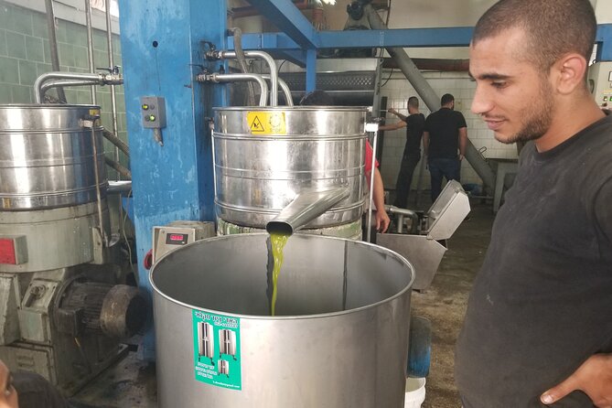 Culinary Day Tour of the Galilee - Deir Hanna connects grain, bread, and old olive trees