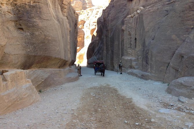 Day Tour to Petra by Bus from Tel Aviv - Who should book this Petra day trip?