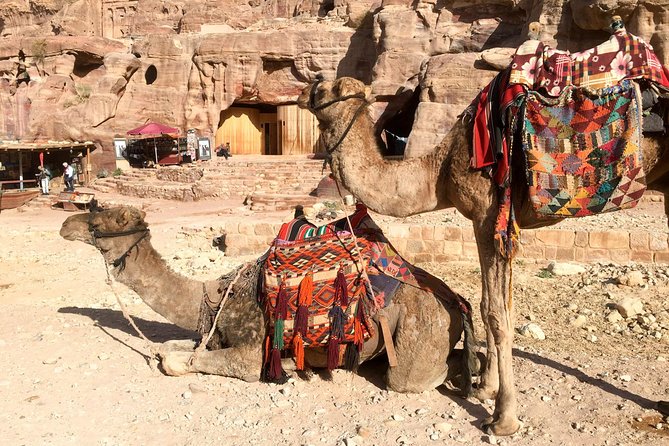Day Tour to Petra from Eilat - The return crossing and the final ride to Eilat