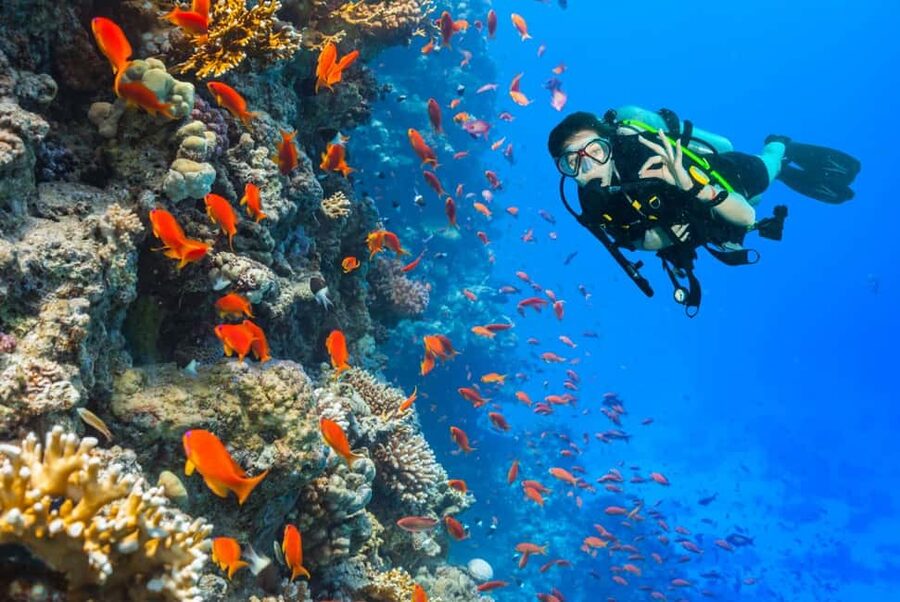 Eilat: Intro to Diving with Certified Instructor - What the $85 Price Really Covers