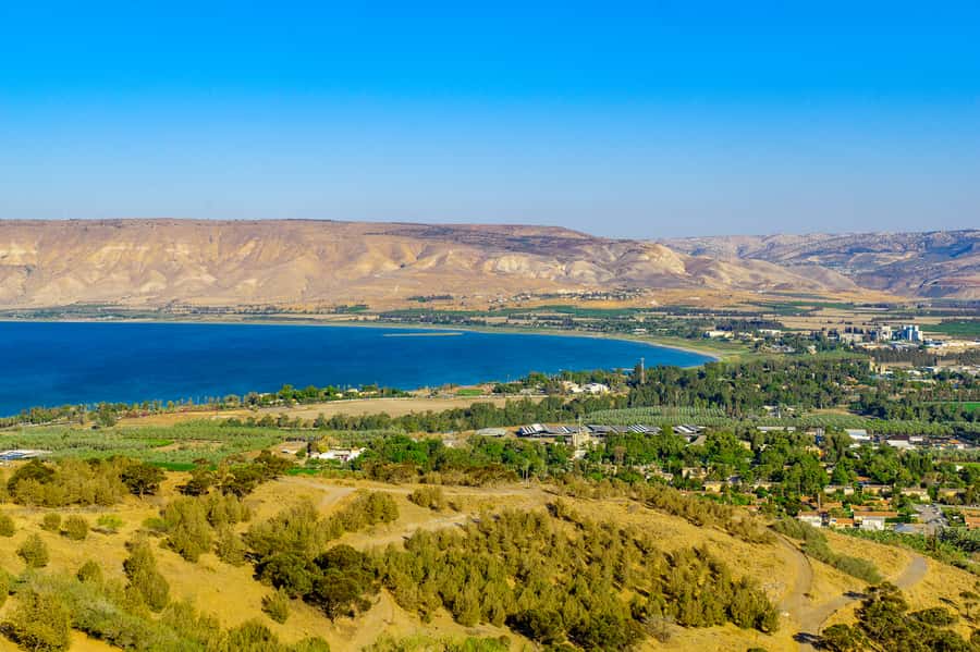 From Jerusalem: Day Trip to Golan Heights and Mount Bental - Inside the Golan Antiquities Museum
