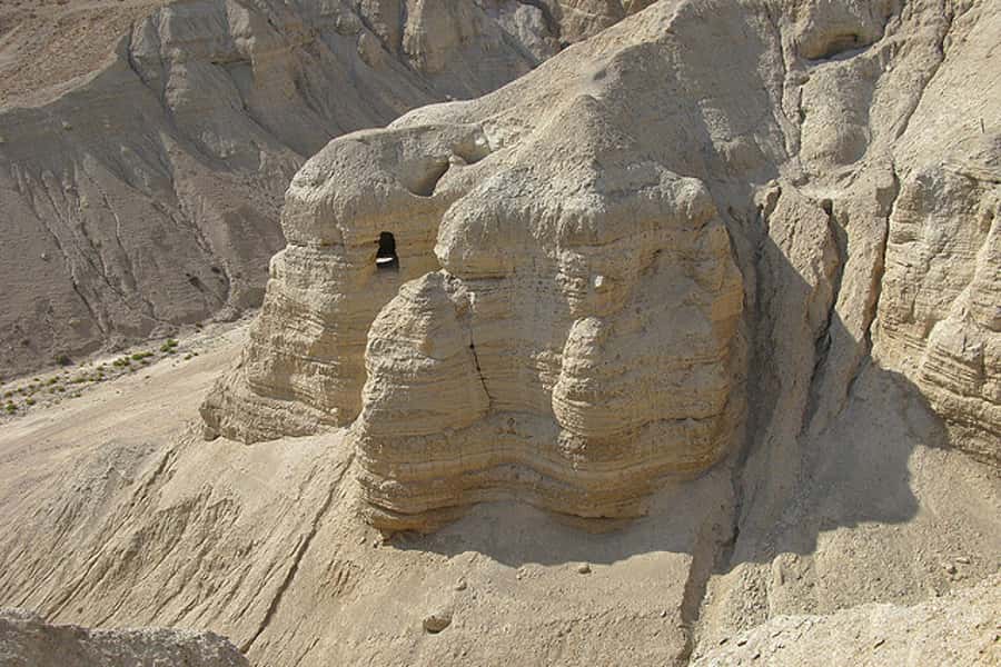 From Jerusalem: Masada&Dead Sea Tour INCLUDING ENTRANCE FEES - Floating in the Dead Sea