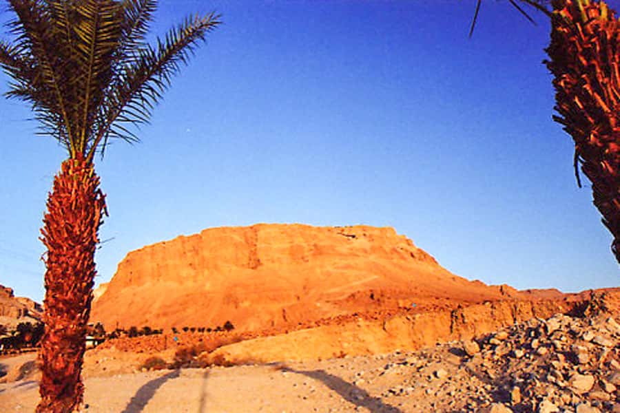 From Jerusalem: Masada&Dead Sea Tour INCLUDING ENTRANCE FEES - Food, shopping, and extra costs