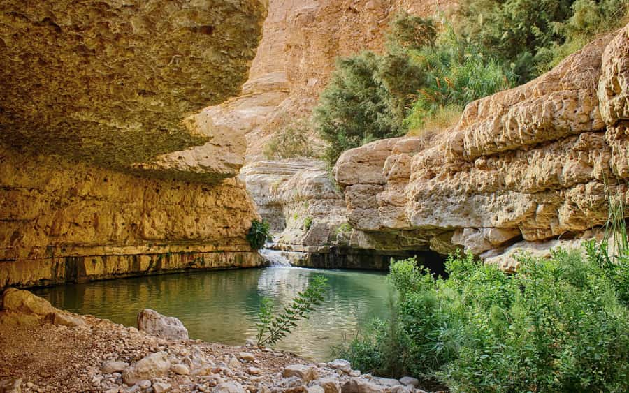 From Jerusalem: Masada Sunrise, Ein Gedi & Dead Sea Day Trip - Key points at a glance