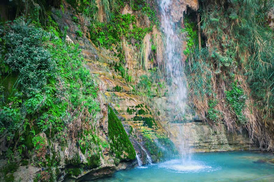 From Jerusalem: Masada Sunrise, Ein Gedi & Dead Sea Day Trip - Who should book this Masada and Dead Sea day?