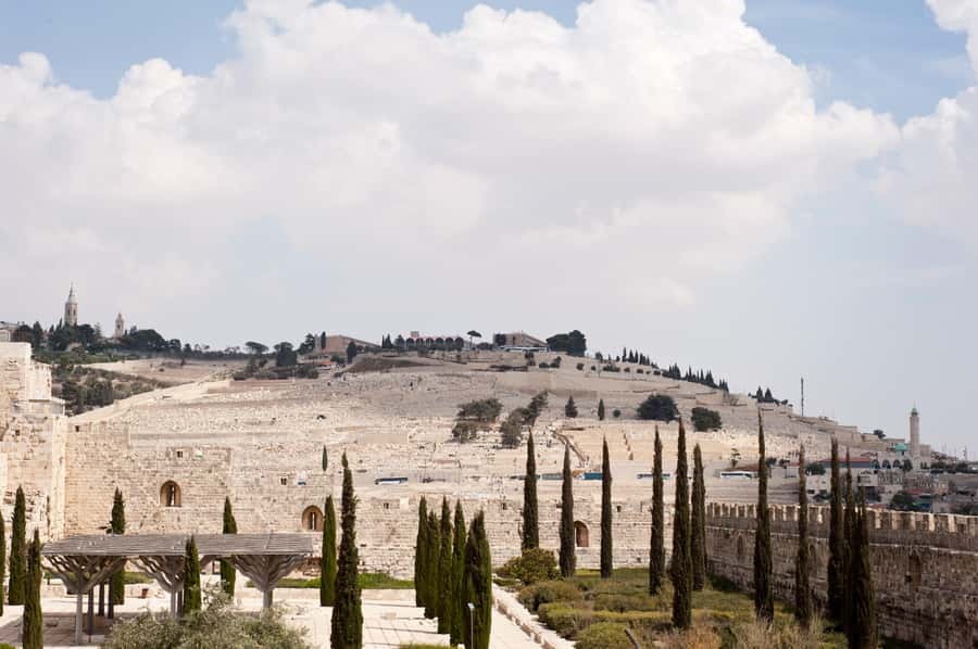 From Jerusalem: Old City & Dead Sea Full-Day Tour - Key points to know before booking