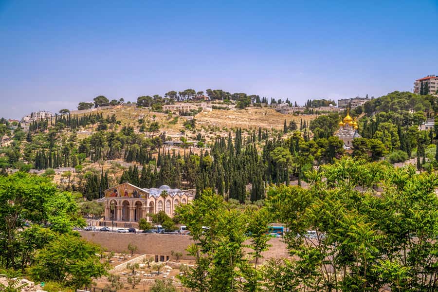 From Jerusalem Small group tour Old&New City ENTRY FEES INCL - The Mount of Olives puts Jerusalem in context