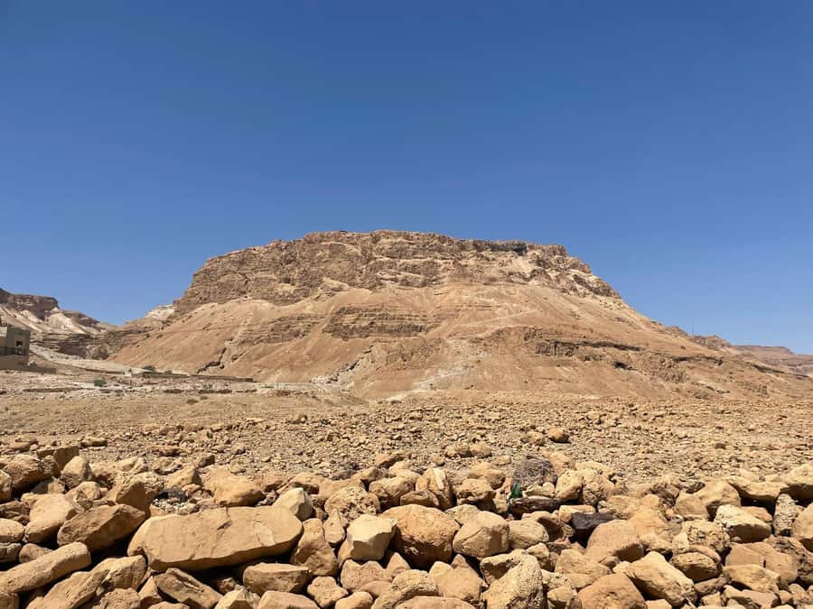 From Jlm : Masada Dead Sea Small Group Tour INCL. ENTRY FEES - Floating at the Dead Sea