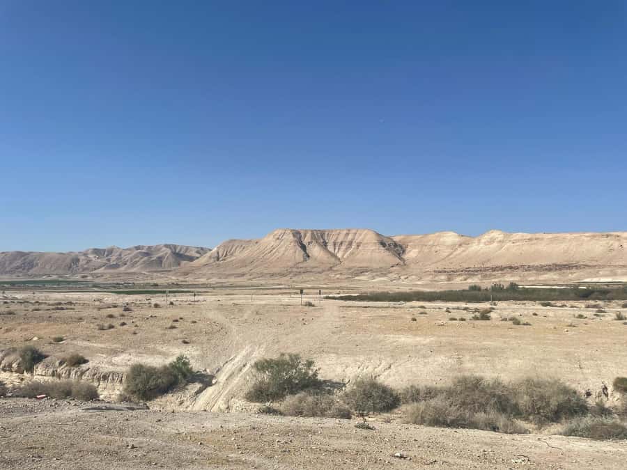 From Jlm : Masada Dead Sea Small Group Tour INCL. ENTRY FEES - Who should book this Masada and Dead Sea tour?
