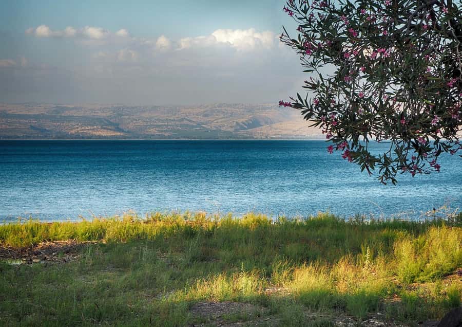From Tel Aviv: Christian Galilee and Nazareth Day Trip - Capernaum, the synagogue, and St. Peter’s house