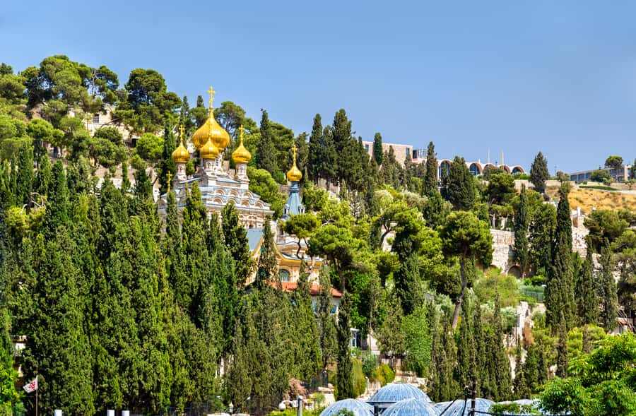 From Tel-Aviv: Day Tour to Origins of Christ in Jerusalem - Key points to know before booking