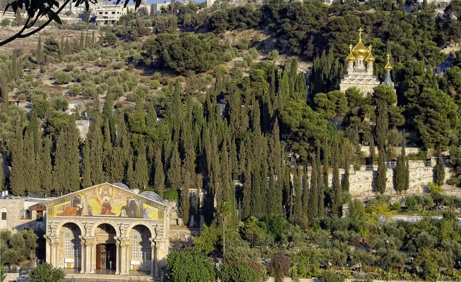 From Tel-Aviv: Day Tour to Origins of Christ in Jerusalem - Starting on Mt. Olives above Jerusalem