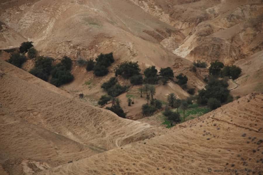 From Tel Aviv: Dead Sea Visit & Desert Safari - From Tel Aviv to the lowest place on earth