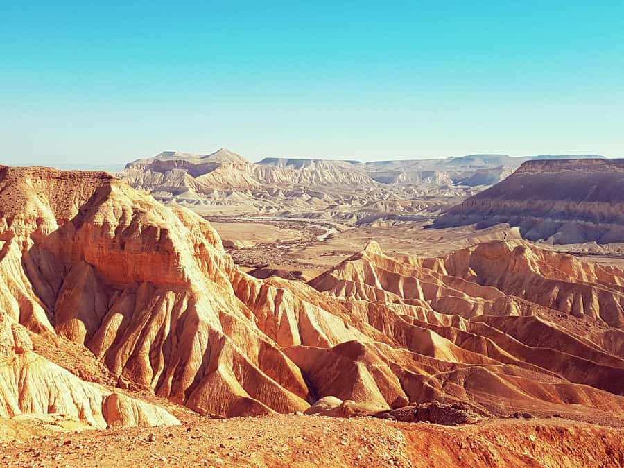 From Tel Aviv: Dead Sea Visit & Desert Safari - What $160 buys you