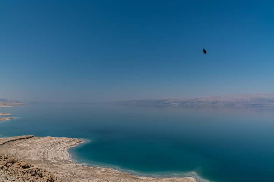From Tel Aviv: Dead Sea Visit & Desert Safari - Should you book the Dead Sea desert safari?