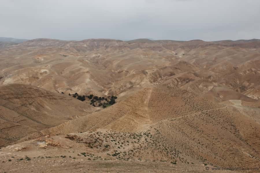 From Tel Aviv: Dead Sea Visit & Desert Safari - A real desert ride, not a smooth scenic drive