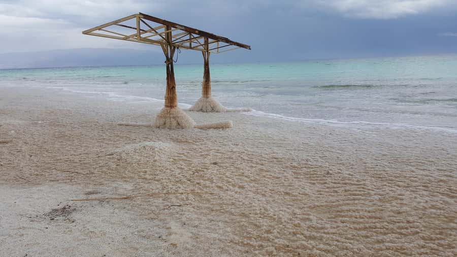 From Tel Aviv: Full-Day Dead Sea Relaxation Tour - Is the price worth it?