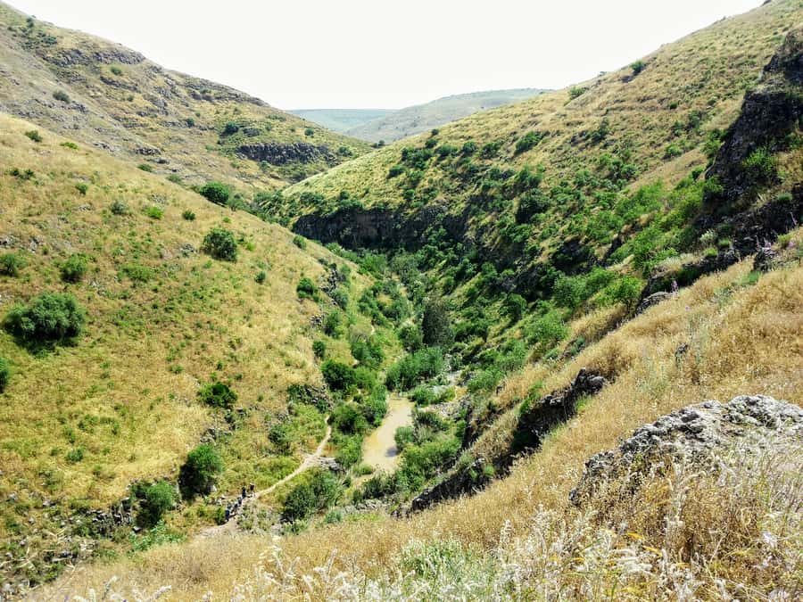 From Tel Aviv: Golan Heights Tour - Shalom Observatory and the strategic view