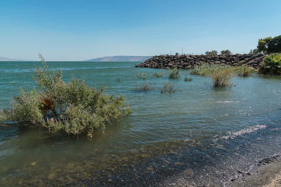 From Tel Aviv: Magdala, Mount of Beatitudes, and Cana Tour - Why this Galilee day is worth your time
