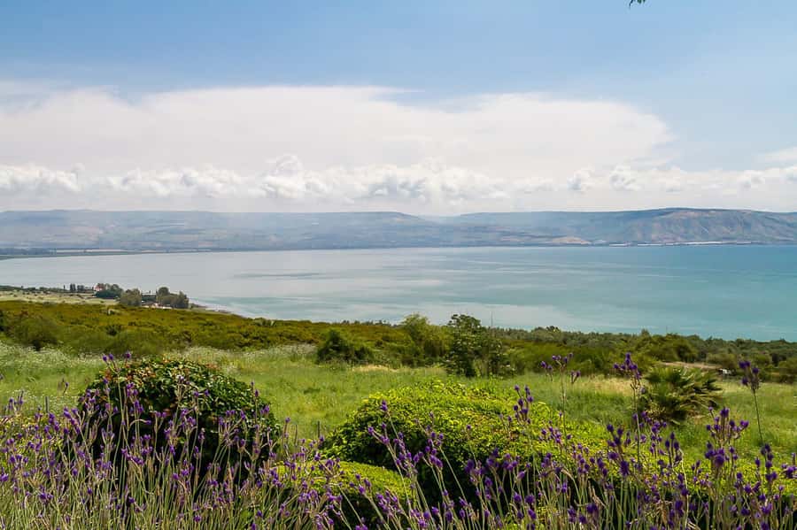 From Tel Aviv: Magdala, Mount of Beatitudes, and Cana Tour - What the guide adds to the day