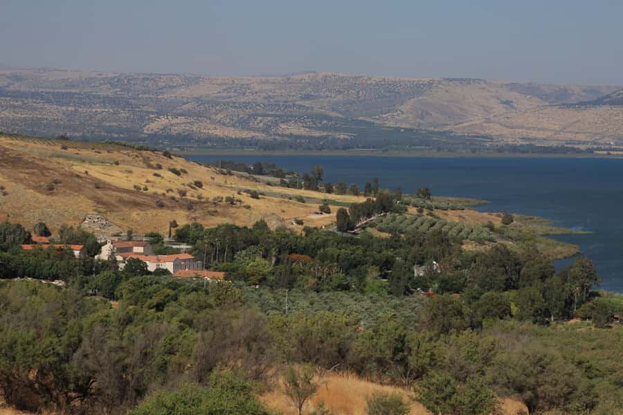 From Tel Aviv: Magdala, Mount of Beatitudes, and Cana Tour - The long ride north from Tel Aviv
