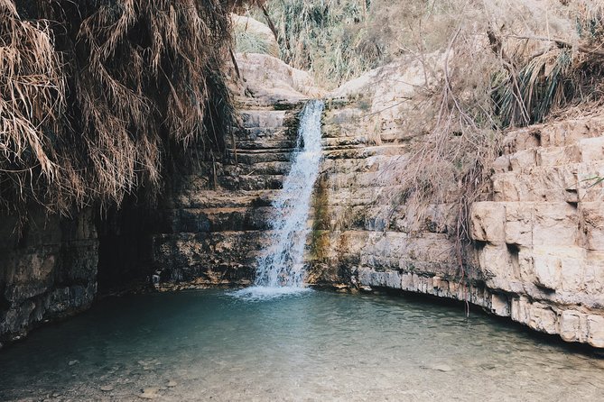 From Tel Aviv: Masada, Ein Gedi and Dead Sea - What the transport and guiding are really like