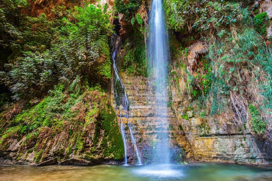 From Tel Aviv: Masada, Ein Gedi & Dead Sea Tour - Should you book this tour?