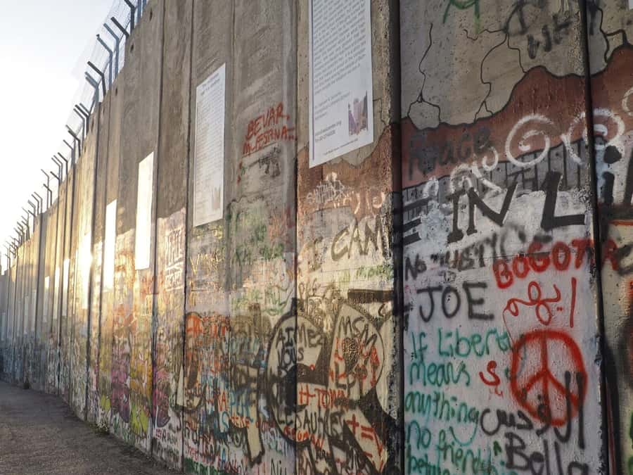 From Tel Aviv: West Bank Day Tour - Guide quality, language, and group experience