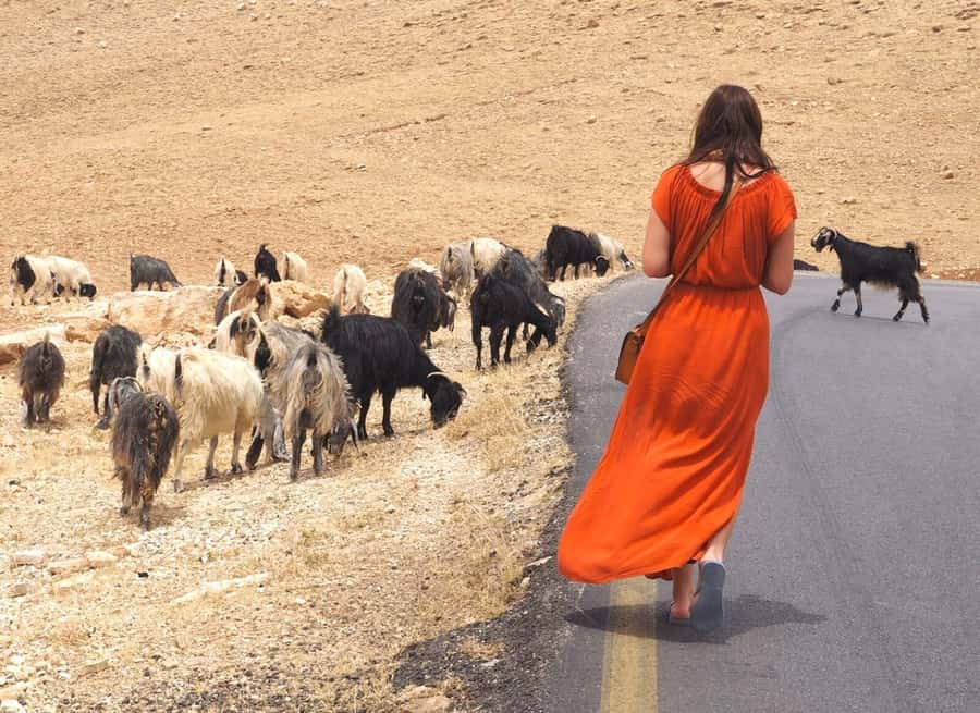 From Tel Aviv: West Bank Day Tour - Is $162 good value?
