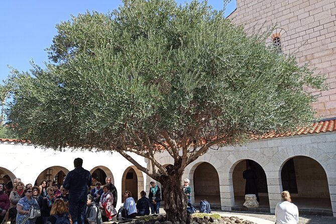 Full Day Tour to Nazareth and the Sea of Galilee - The Sea of Galilee and Jordan River connection