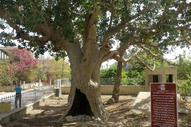 FullDay Bethlehem Jericho Guided Tour From Jerusalem -small group - Mount of Temptation requires extra energy