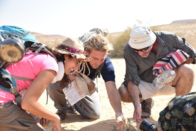 GoKedem 5-Day Private All-Inclusive Cross-Israel Adventure - Day 5: The Negev’s ancient trade roads