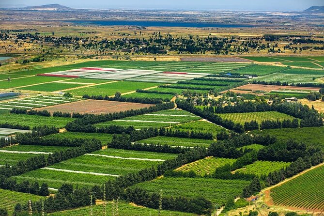 Golan Heights Day Trip from Jerusalem - Who should book this experience?