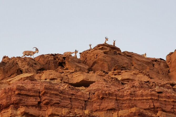 In Depth Introduction of the Ramon Crater - Following the dry riverbed into the crater