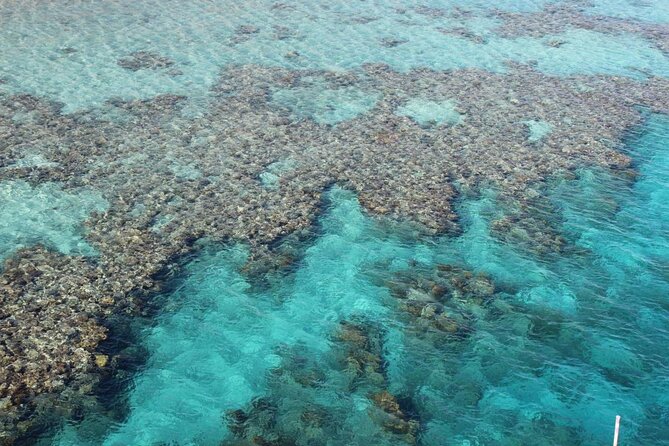 Introductory Dive in Eilat - A gentle introduction to Eilat’s Red Sea
