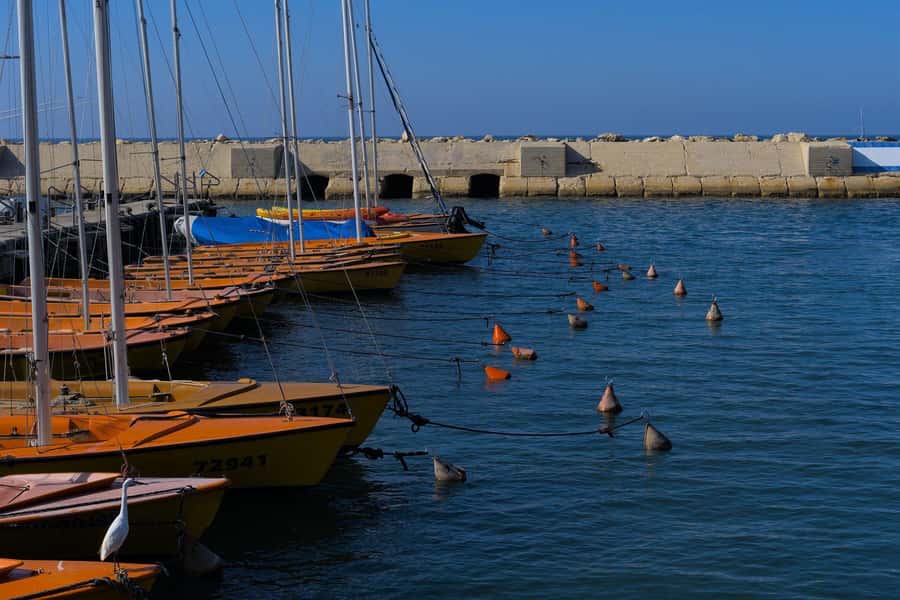 Jaffa: Old City, Port & Shuk Hapishpishim Walking Tour - Shuk Hapishpishim, where the tour becomes more informal
