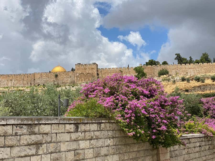 Jerusalem: 3–Hour Old City Tour in French - Starting at Mamilla and Jaffa Gate