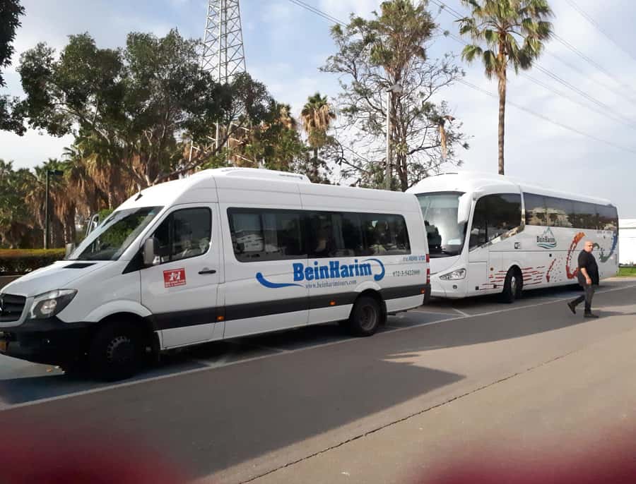 Jerusalem: Half-Day Tour from Tel Aviv - What the five-hour schedule really feels like