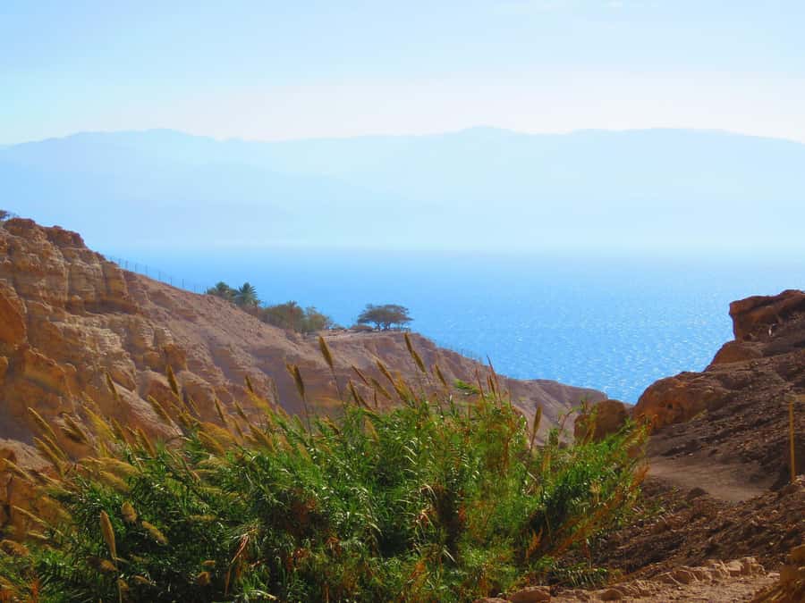 Jerusalem: Masada, Ein Gedi & Dead Sea Tour - FAQ
