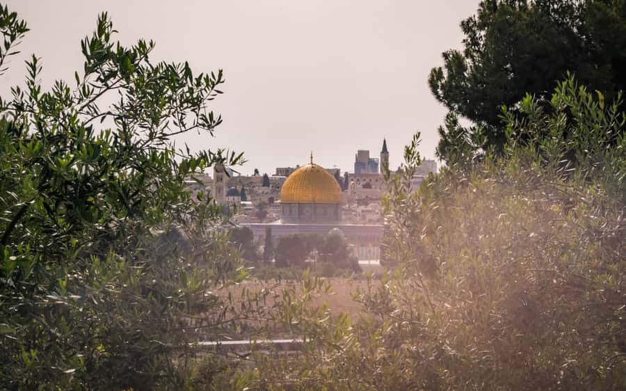 Jerusalem: Mount of Olives Guided Tour - What the $60 price really covers