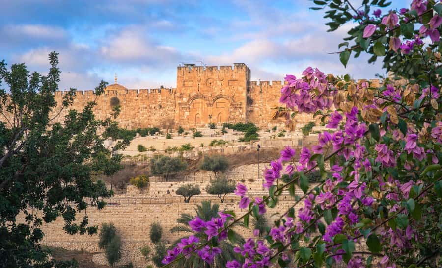 Jerusalem: Old City Morning Tour - Guide quality can shape the whole morning
