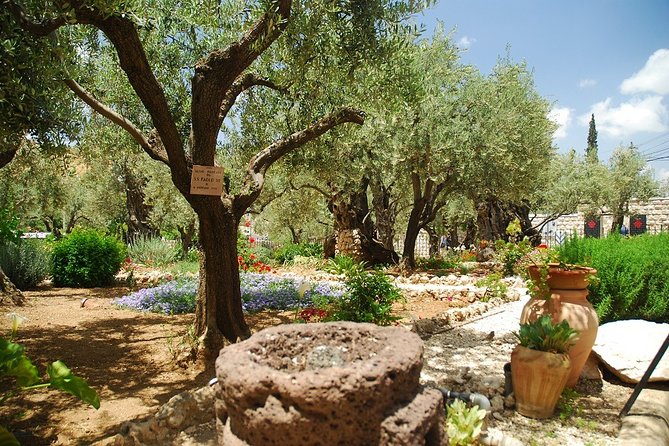 Jerusalem Old City & Mount Zion Day Tour - Key points to know before booking