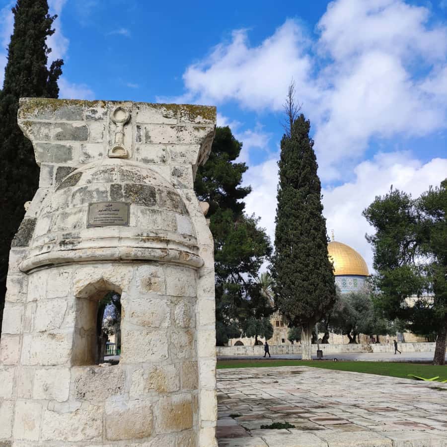Jerusalem: Tour with Private Guide - Choosing a guide and language