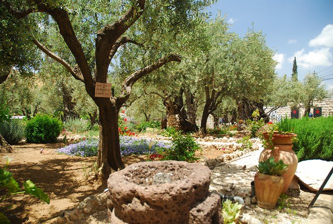 Jerusalem Walking Tour: In the Footsteps of Jesus - How the guides shape the day